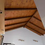 Apartman Kolona *