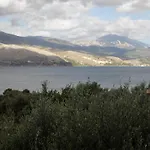 Kolona