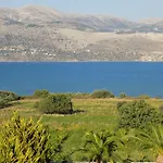 Kolona